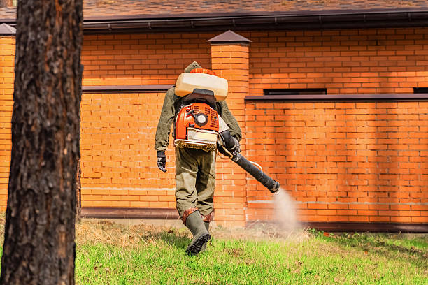 Bed Bug Clearance Verification and Documentation in Huntington Bay